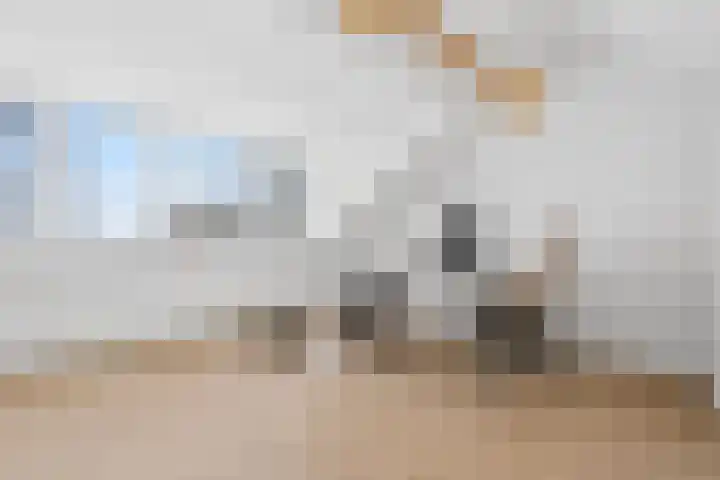 Philips de Goedelaan 8 Eindhoven thumbnail 35
