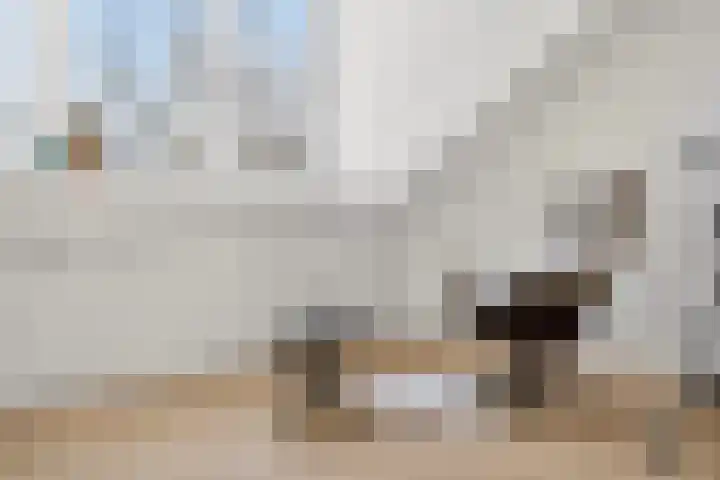 Philips de Goedelaan 8 Eindhoven thumbnail 36