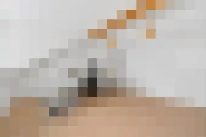 Philips de Goedelaan 8 Eindhoven thumbnail 37