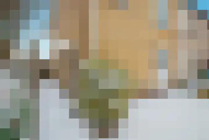 Philips de Goedelaan 8 Eindhoven thumbnail 41
