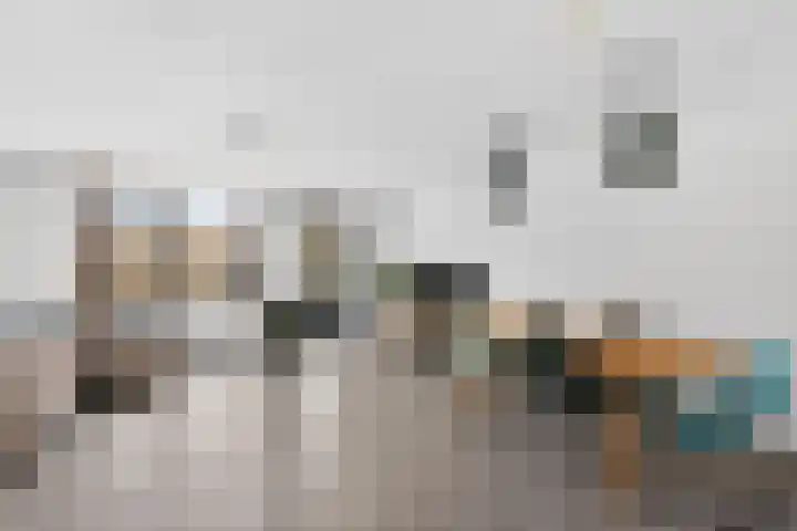 Philips de Goedelaan 8 Eindhoven thumbnail 8