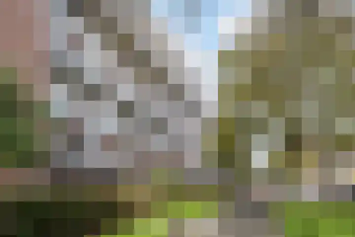 Philips de Goedestraat 68 Vlaardingen thumbnail 36