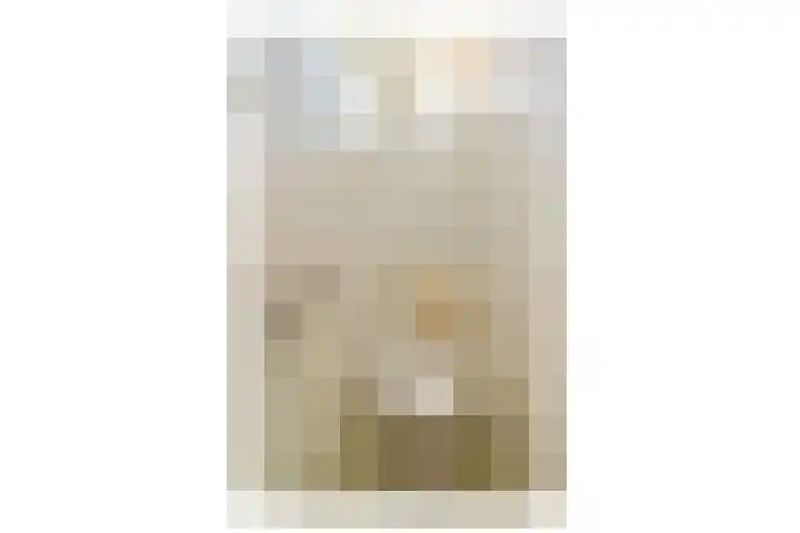 Philips de Goedestraat 74 Vlaardingen thumbnail 11