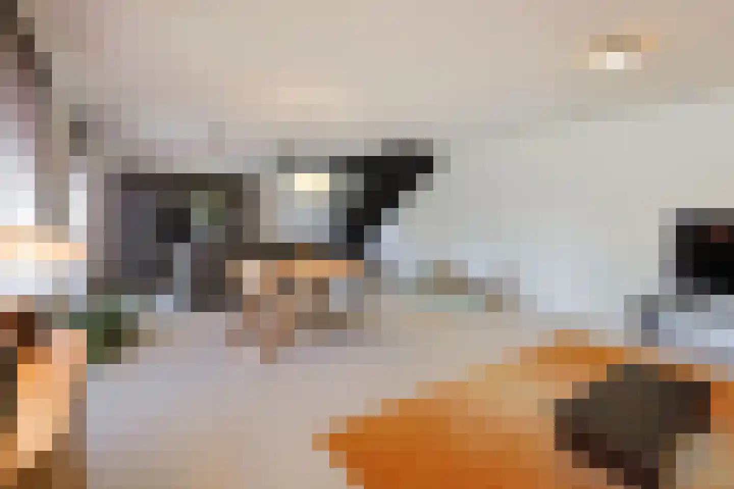 Philips de Schonepad 12 Eindhoven thumbnail 14