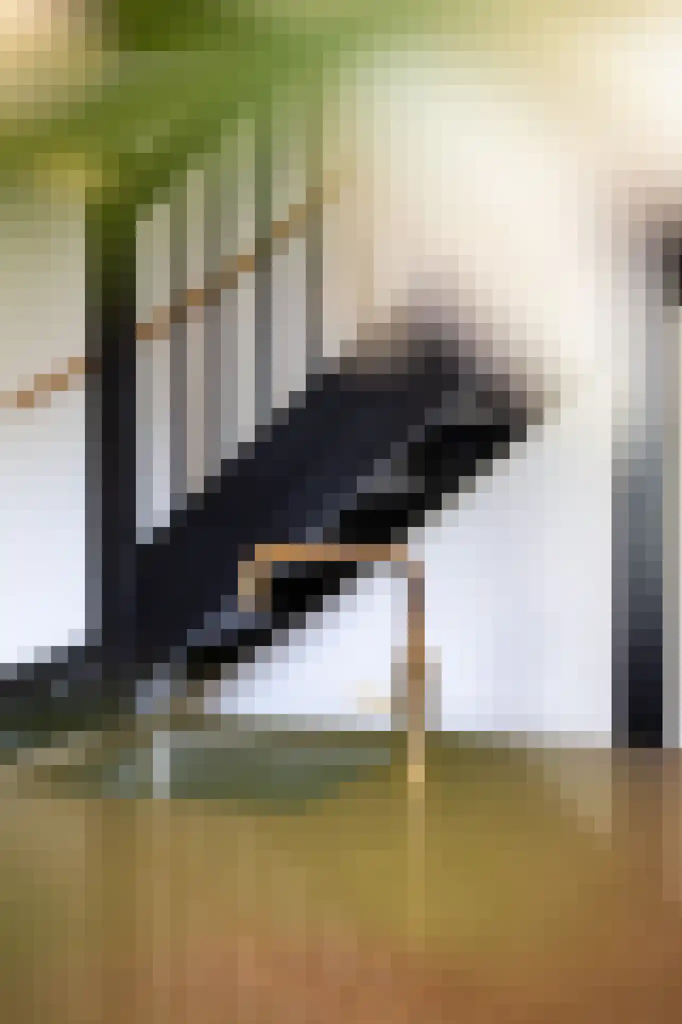 Philips de Schonepad 12 Eindhoven thumbnail 18