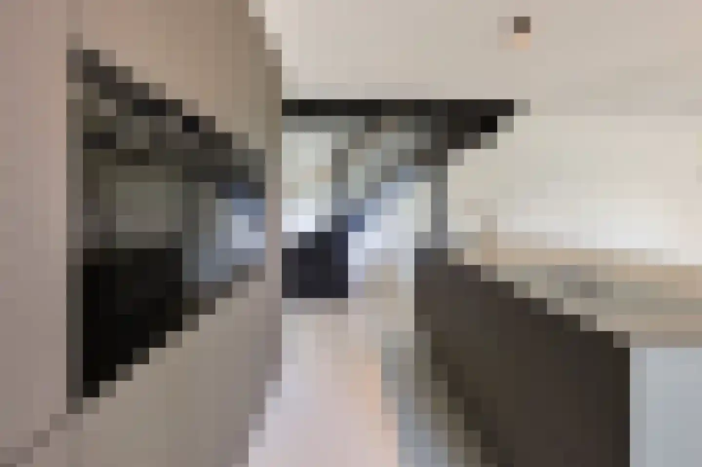 Philips de Schonepad 12 Eindhoven thumbnail 19