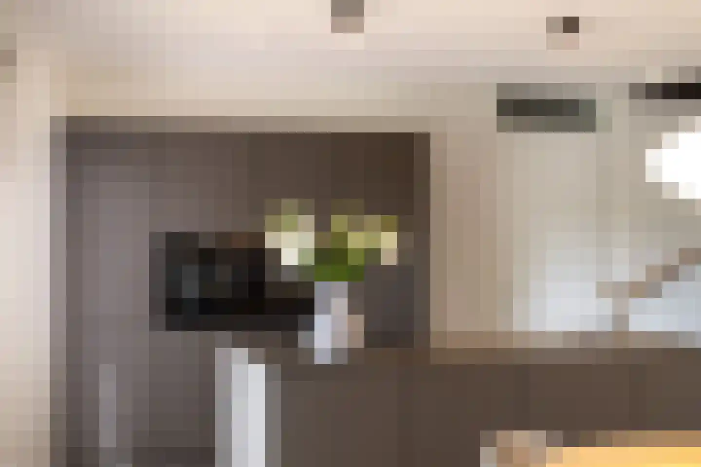 Philips de Schonepad 12 Eindhoven thumbnail 20