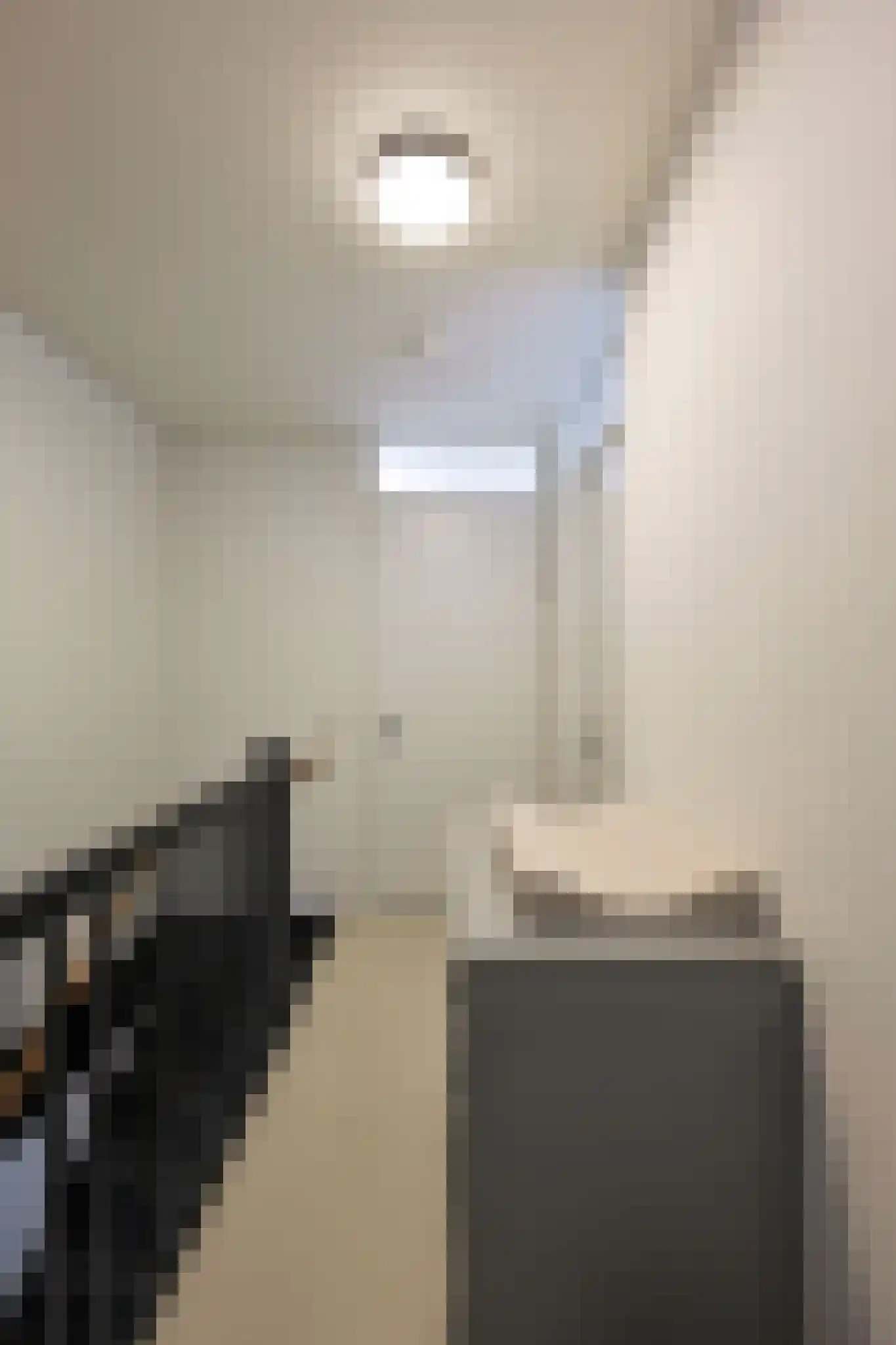 Philips de Schonepad 12 Eindhoven thumbnail 24