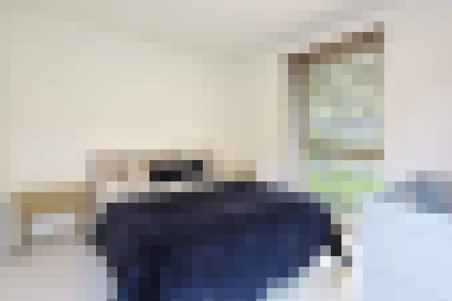 Philips de Schonepad 12 Eindhoven thumbnail 29
