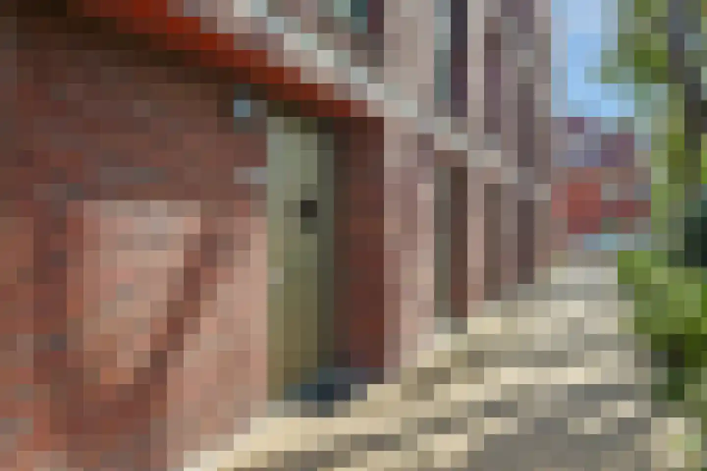 Philips de Schonepad 12 Eindhoven thumbnail 4