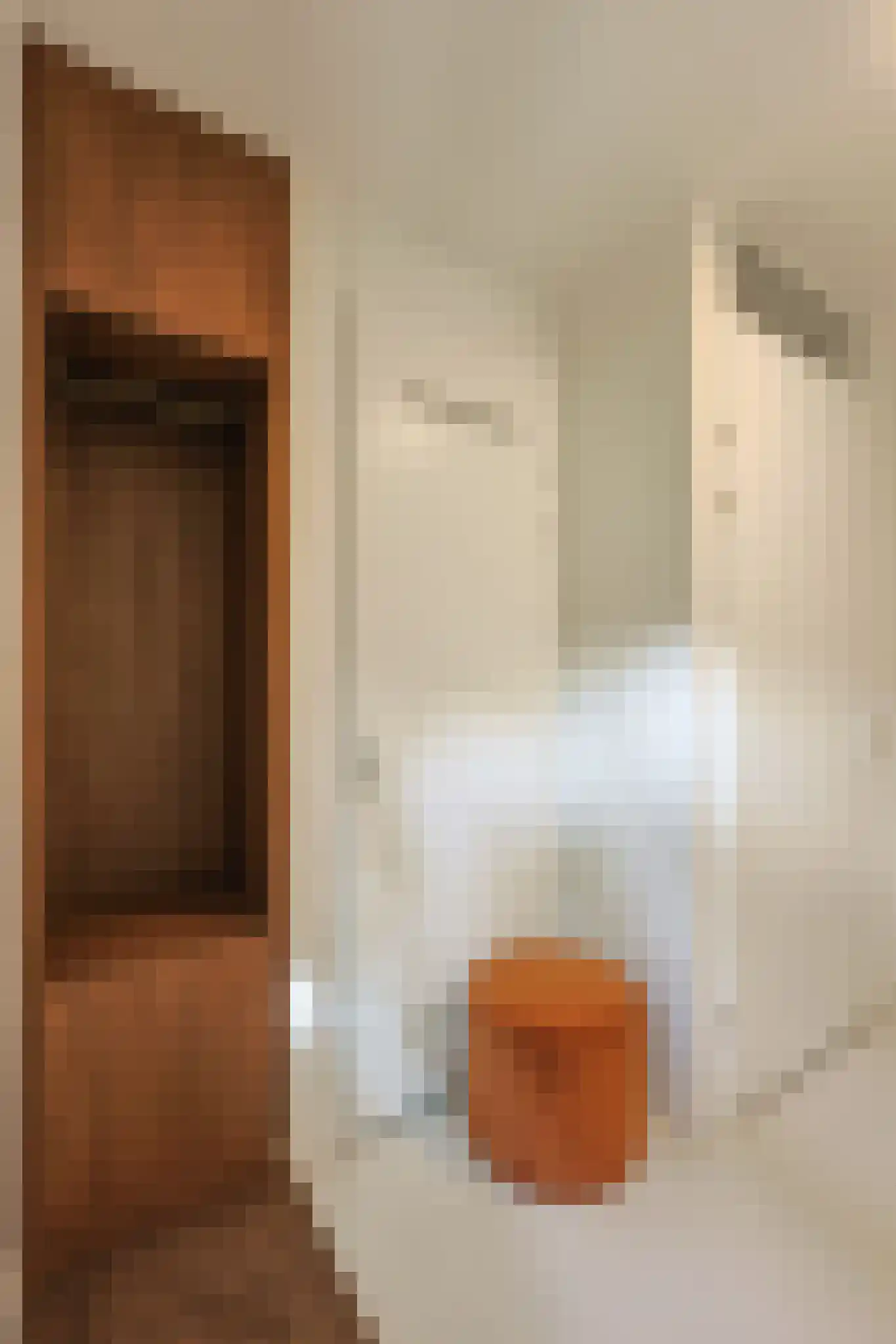 Philips de Schonepad 12 Eindhoven thumbnail 8