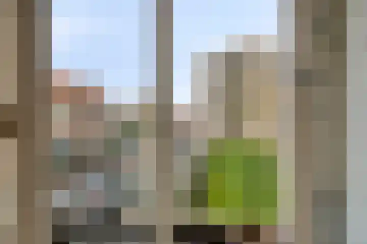 Philips de Tweedestraat 31 's-Hertogenbosch thumbnail 13