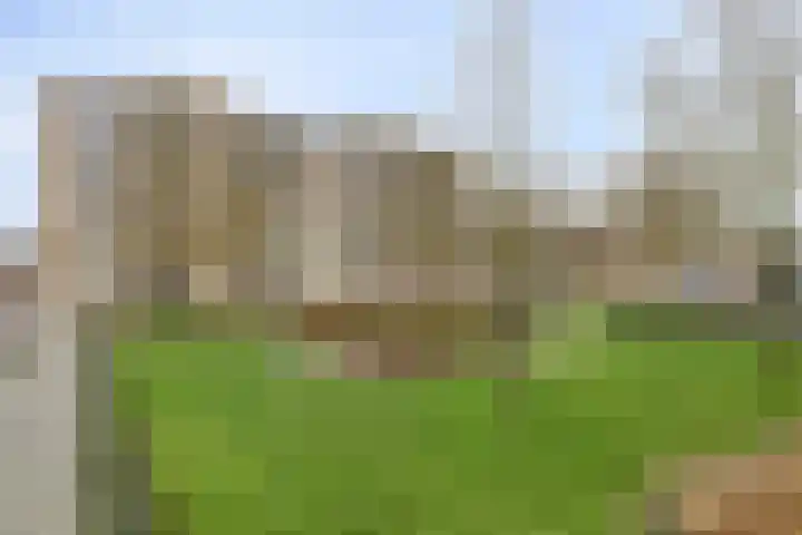 Philips de Tweedestraat 31 's-Hertogenbosch thumbnail 17