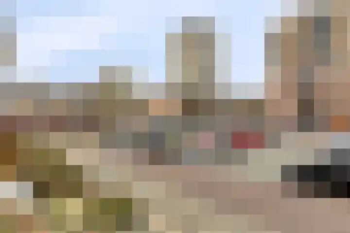 Philips de Tweedestraat 31 's-Hertogenbosch thumbnail 18
