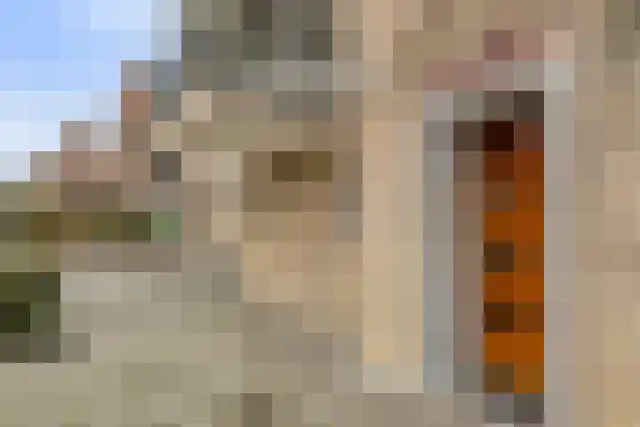 Philips de Tweedestraat 31 's-Hertogenbosch thumbnail 28