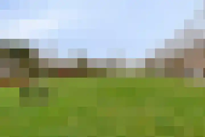 Philips de Tweedestraat 31 's-Hertogenbosch thumbnail 34