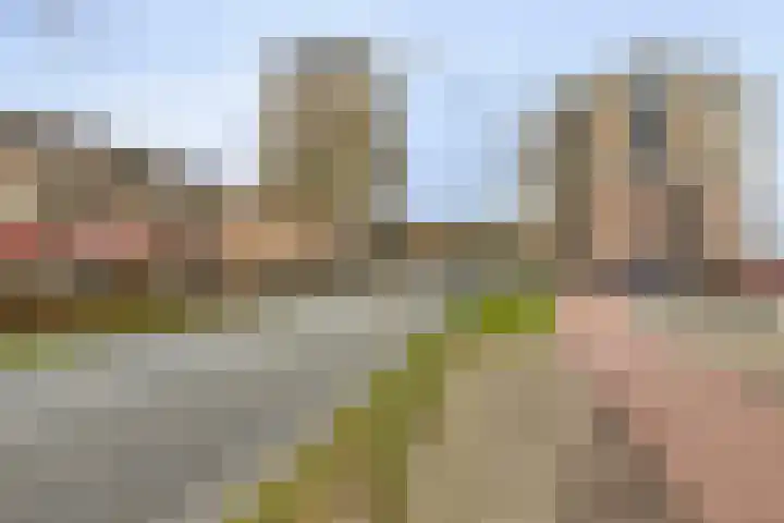 Philips de Tweedestraat 31 's-Hertogenbosch thumbnail 36