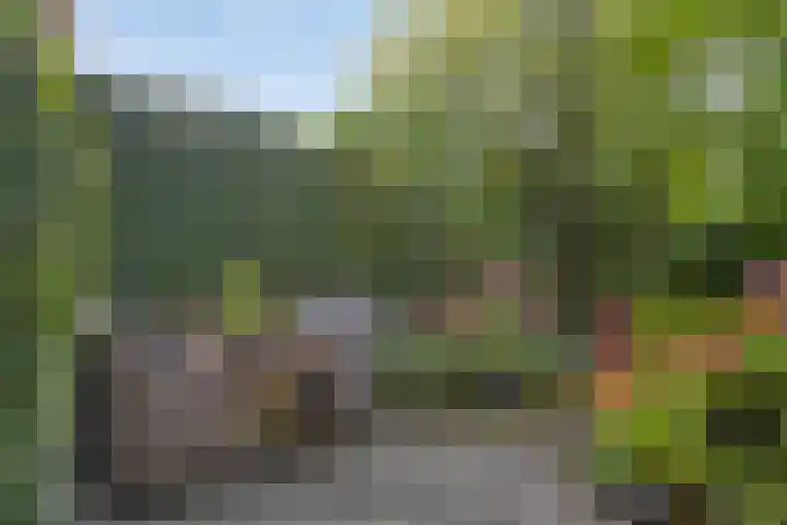 Philips de Tweedestraat 45 's-Hertogenbosch thumbnail 12