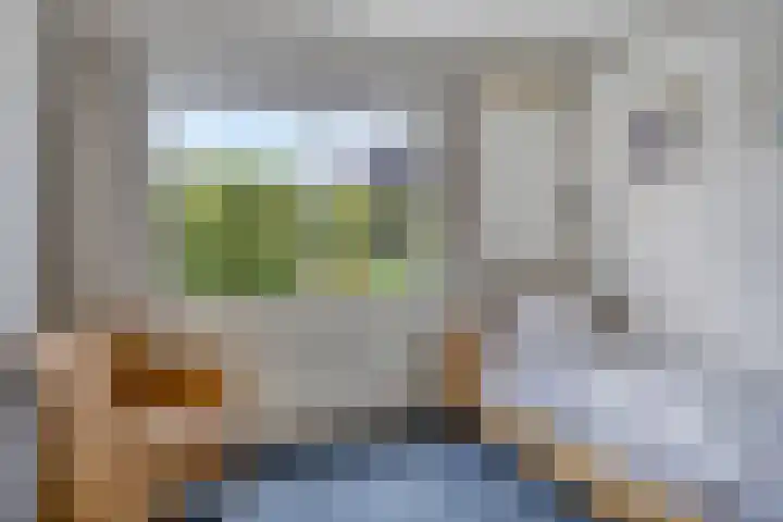 Philips de Tweedestraat 45 's-Hertogenbosch thumbnail 18
