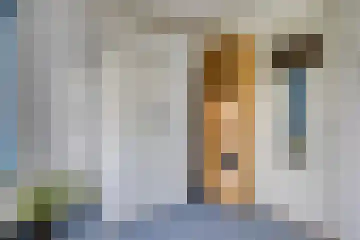 Philips de Tweedestraat 45 's-Hertogenbosch thumbnail 19