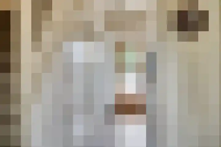 Philips de Tweedestraat 45 's-Hertogenbosch thumbnail 24