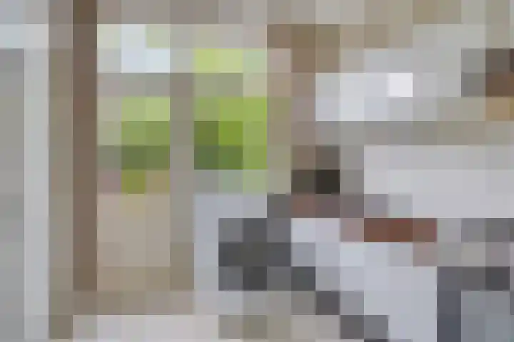 Philips de Tweedestraat 45 's-Hertogenbosch thumbnail 8