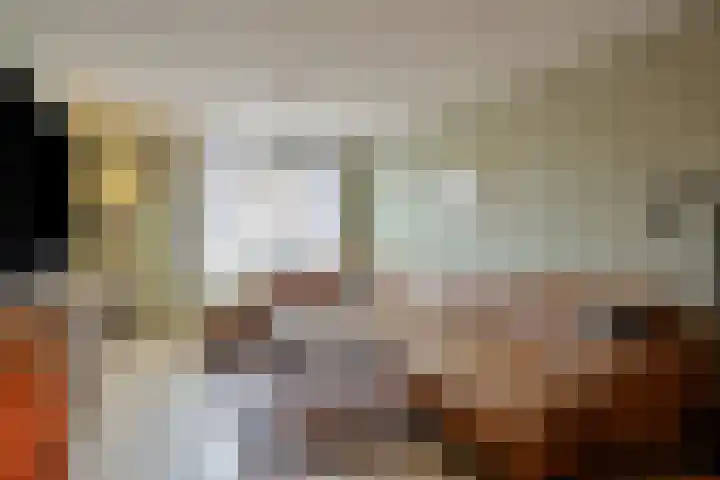Philips II straat 8 Koningsbosch thumbnail 13
