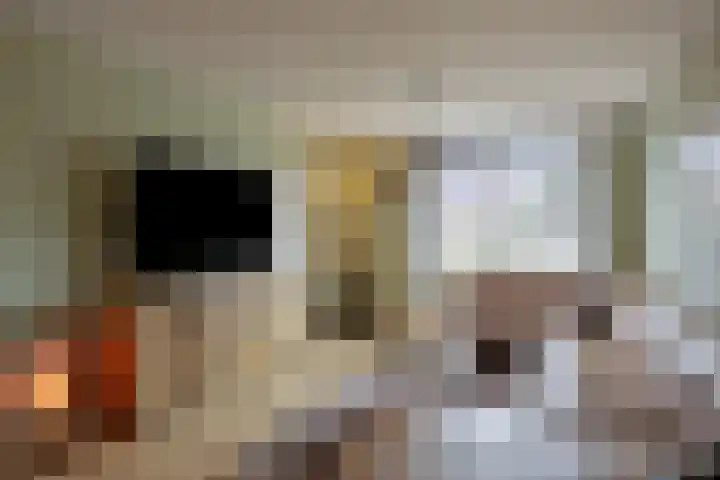 Philips II straat 8 Koningsbosch thumbnail 14