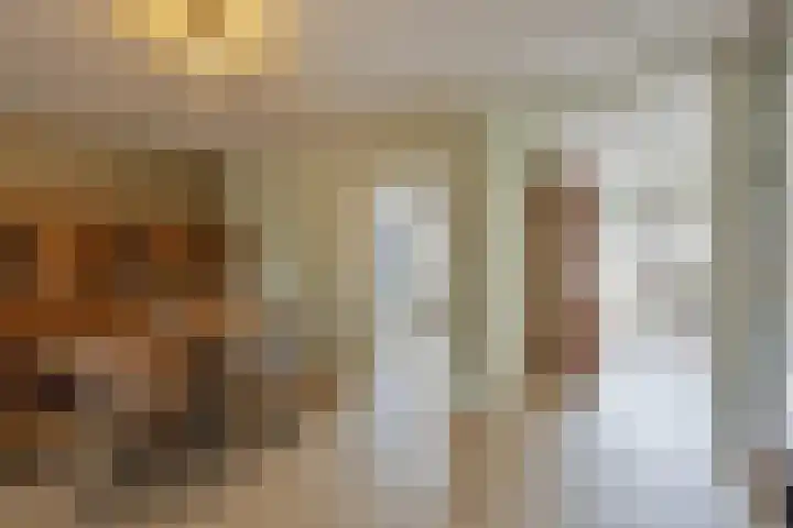 Philips II straat 8 Koningsbosch thumbnail 17