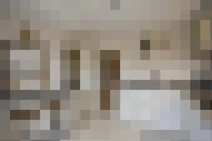 Philips II straat 8 Koningsbosch thumbnail 21