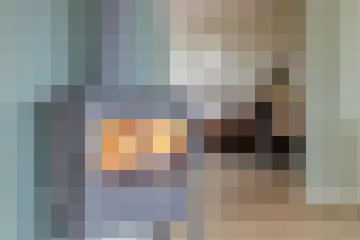 Philips II straat 8 Koningsbosch thumbnail 24
