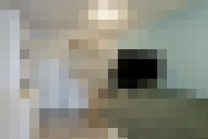 Philips II straat 8 Koningsbosch thumbnail 25