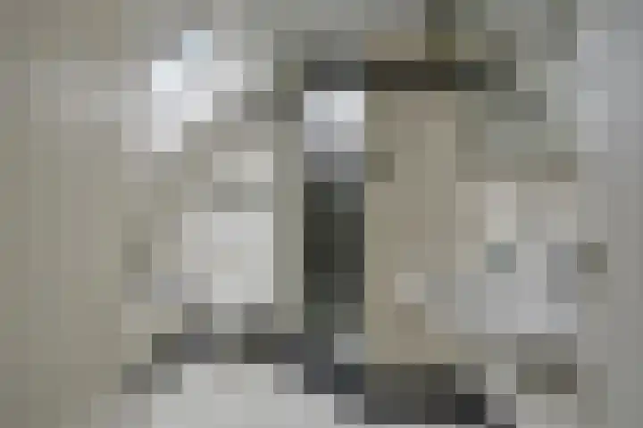 Philips II straat 8 Koningsbosch thumbnail 30