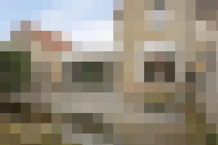 Philips II straat 8 Koningsbosch thumbnail 36