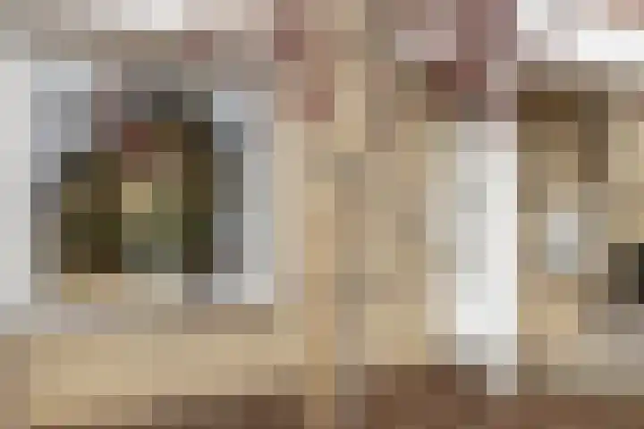 Philips II straat 8 Koningsbosch thumbnail 8