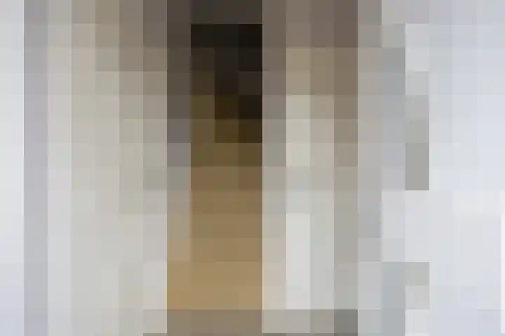 Philips II straat 8 Koningsbosch thumbnail 9