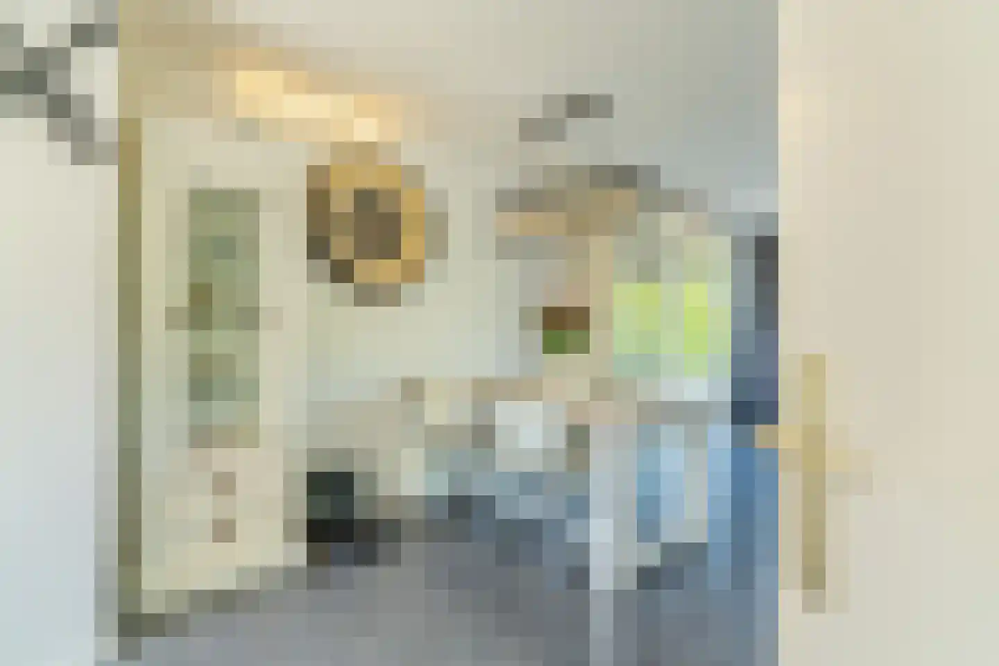Philips van Almondestraat 27 Hellevoetsluis thumbnail 6
