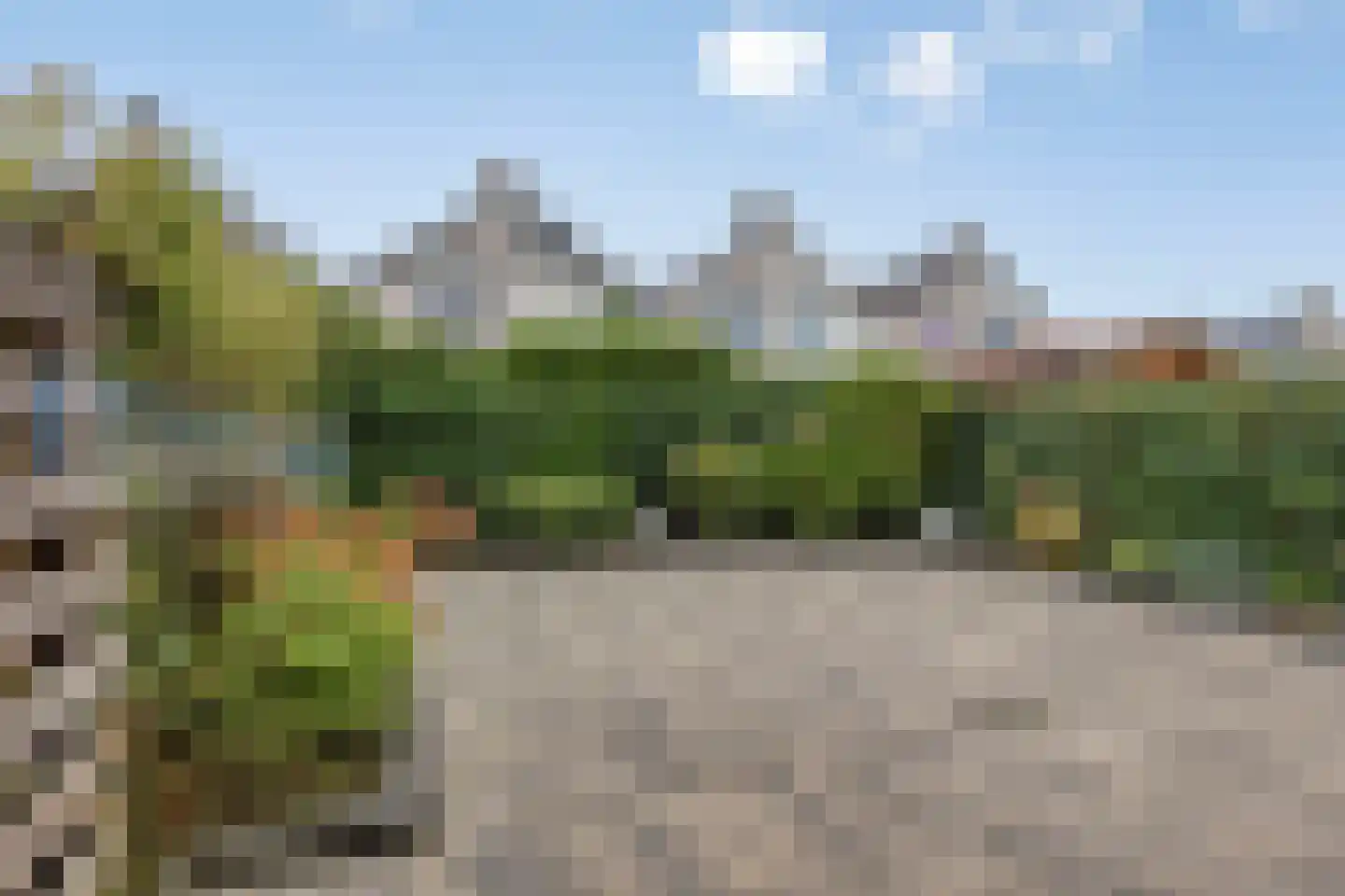 Philips van Almondestraat 9 Hellevoetsluis thumbnail 18