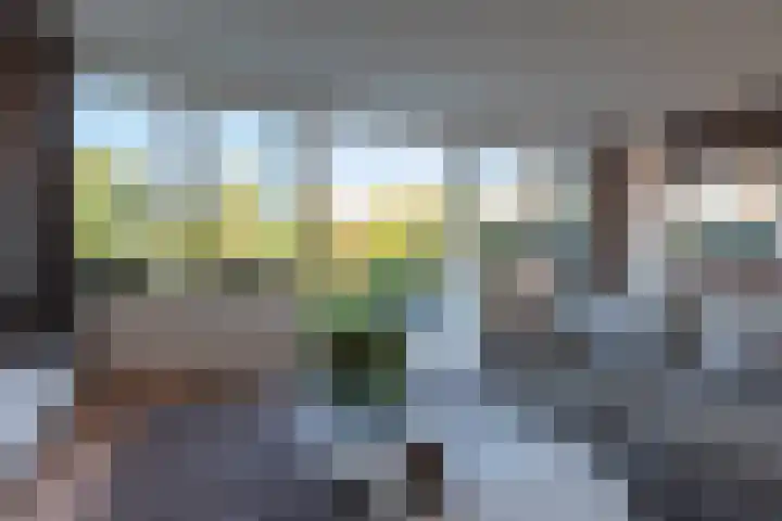 Philips van Dorplaan 17 Schipluiden thumbnail 11