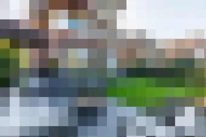 Philips van Dorplaan 17 Schipluiden thumbnail 16