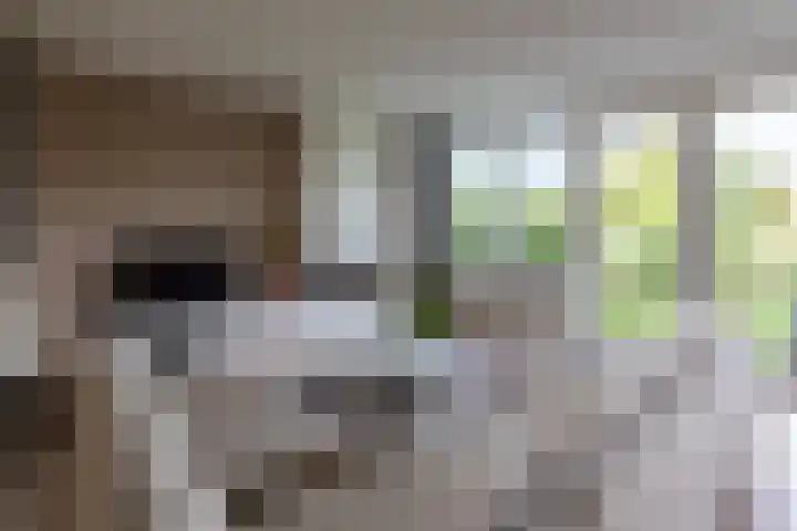 Philips van Dorplaan 17 Schipluiden thumbnail 18