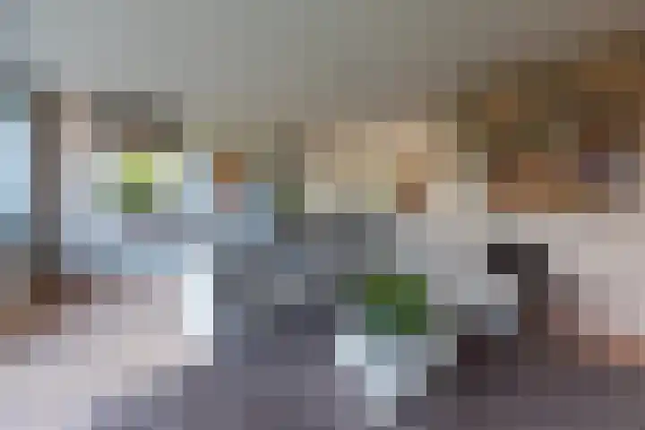 Philips van Dorplaan 17 Schipluiden thumbnail 19