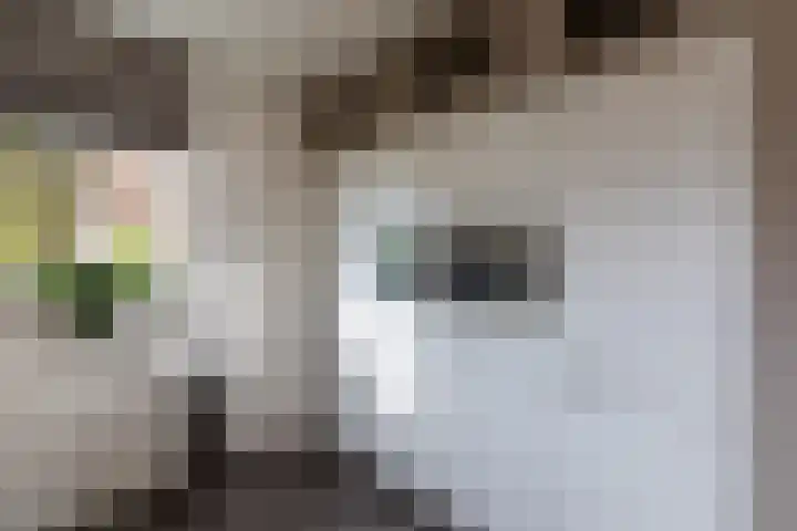 Philips van Dorplaan 17 Schipluiden thumbnail 24