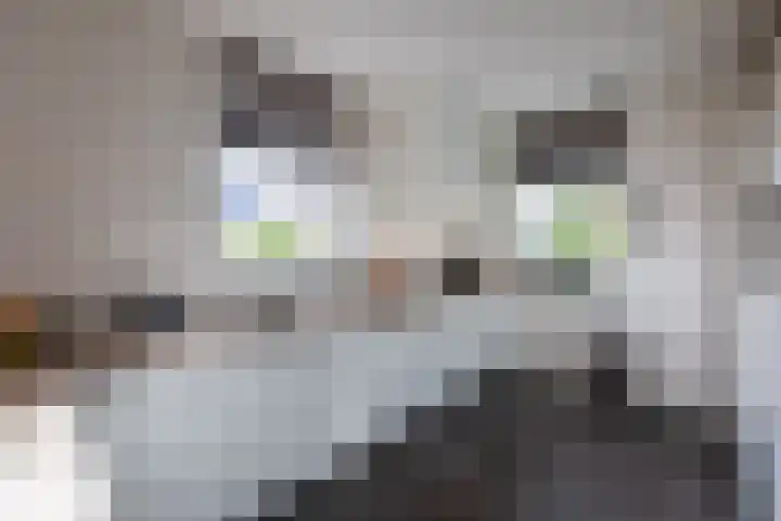 Philips van Dorplaan 17 Schipluiden thumbnail 27