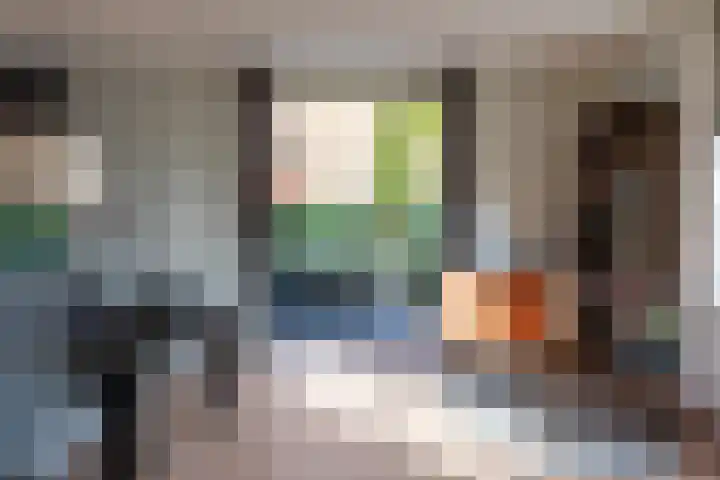 Philips van Dorplaan 17 Schipluiden thumbnail 28