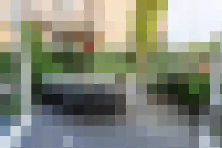 Philips van Dorplaan 17 Schipluiden thumbnail 30