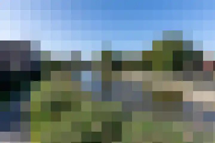 Philips van Dorplaan 17 Schipluiden thumbnail 31