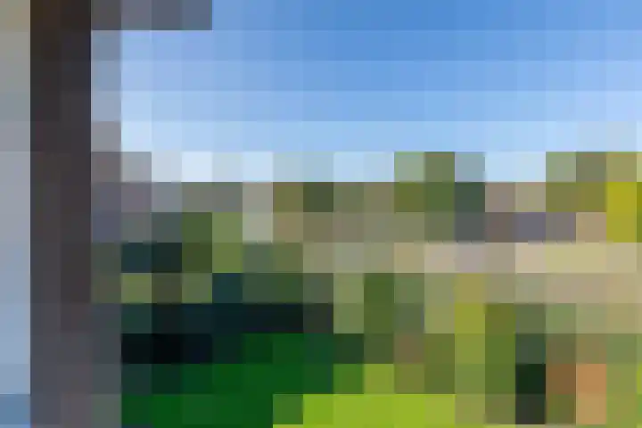 Philips van Dorplaan 17 Schipluiden thumbnail 32