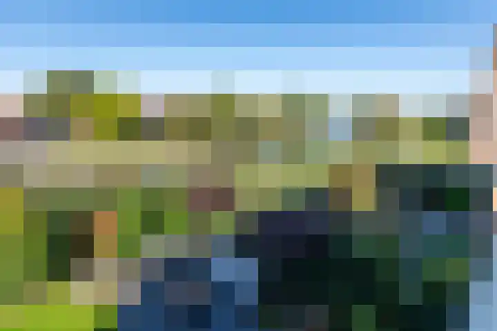 Philips van Dorplaan 17 Schipluiden thumbnail 33
