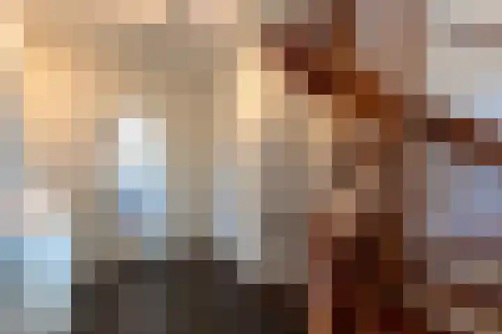 Philips van Dorplaan 17 Schipluiden thumbnail 34